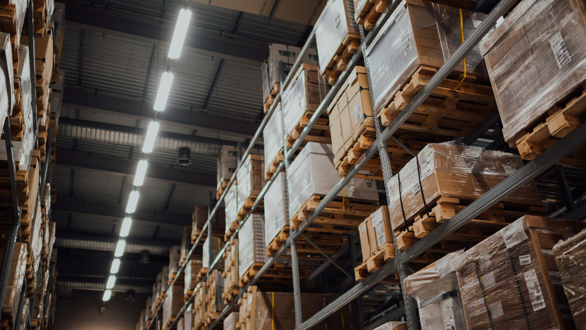 Warehouse & Manufacturing Insights Newsletter